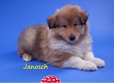 1 Janosch.