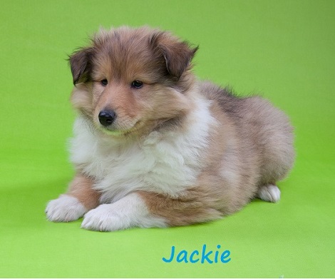 1 Jackie